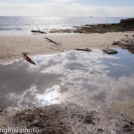 Tenerife Lizards - Duplex In The First Line 펜션 *