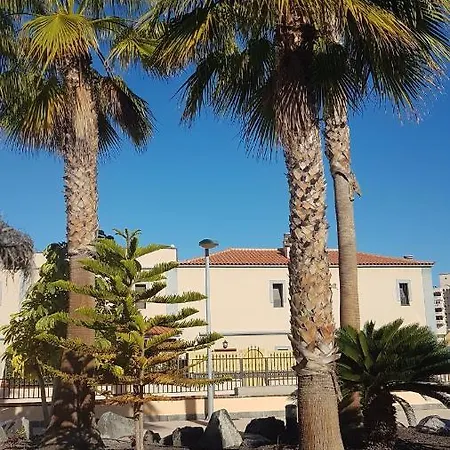 Tenerife Lizards - Duplex In The First Line *