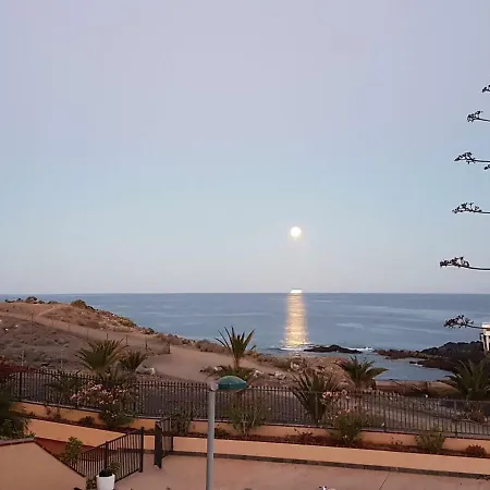 Tenerife Lizards - Duplex In The First Line