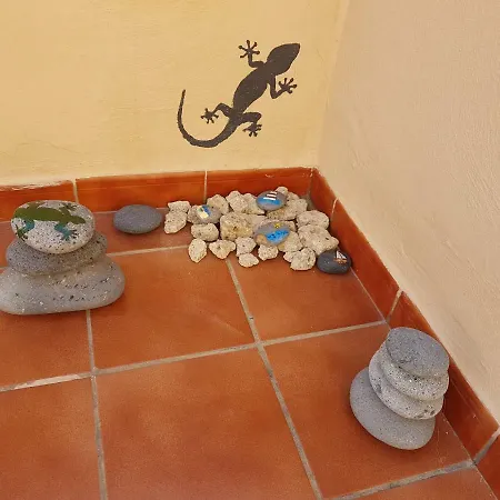Tenerife Lizards - Duplex In The First Line 펜션 칼라오살바헤