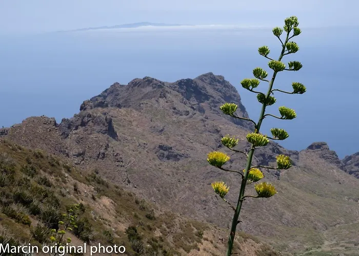 Σπίτι διακοπών Tenerife Lizards - Duplex In The First Line