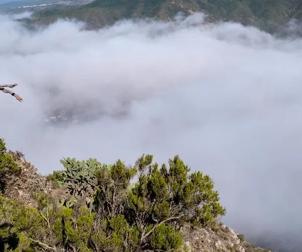 Tenerife Lizards - Duplex In The First Line Dom wakacyjny