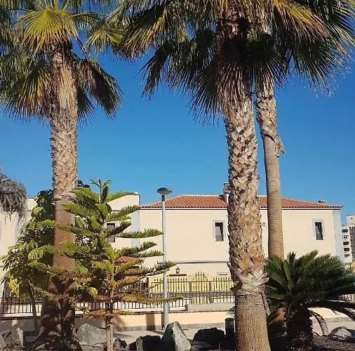 Tenerife Lizards - Duplex In The First Line *