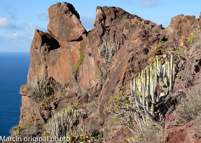 Tenerife Lizards - Duplex In The First Line Dom wakacyjny Callao Salvaje