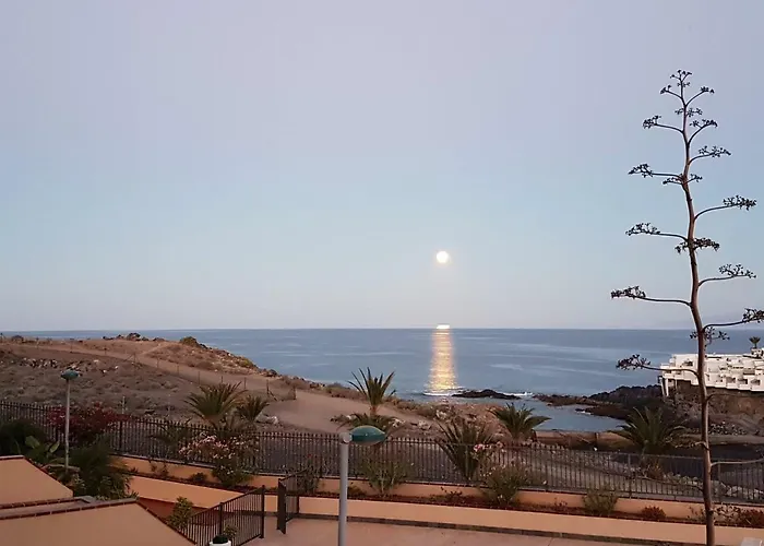 Tenerife Lizards - Duplex In The First Line