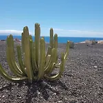 Tenerife Lizards - Duplex In The First Line Ferienhaus