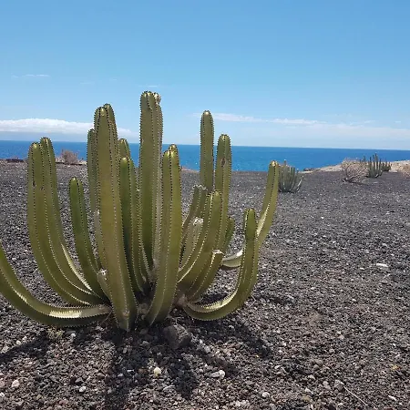 Tenerife Lizards - Duplex In The First Line Ferienhaus