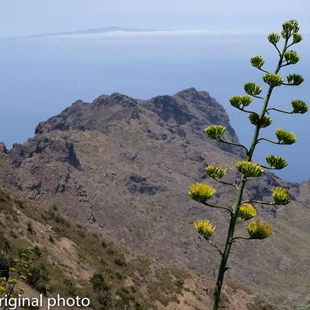 Semesterbostad Tenerife Lizards - Duplex In The First Line