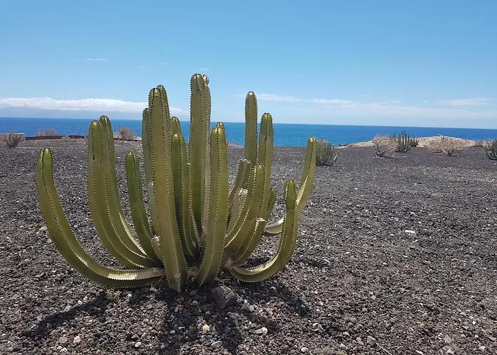 Tenerife Lizards - Duplex In The First Line Vakantiehuis