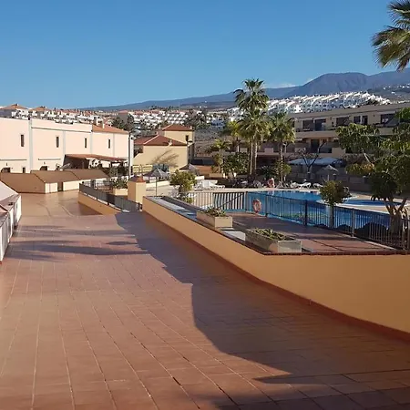 Tenerife Lizards - Duplex In The First Line *