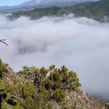 Tenerife Lizards - Duplex In The First Line Ferienhaus