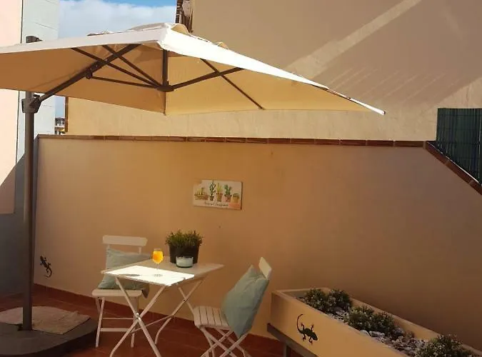 Tenerife Lizards - Duplex In The First Line * Callao Salvaje